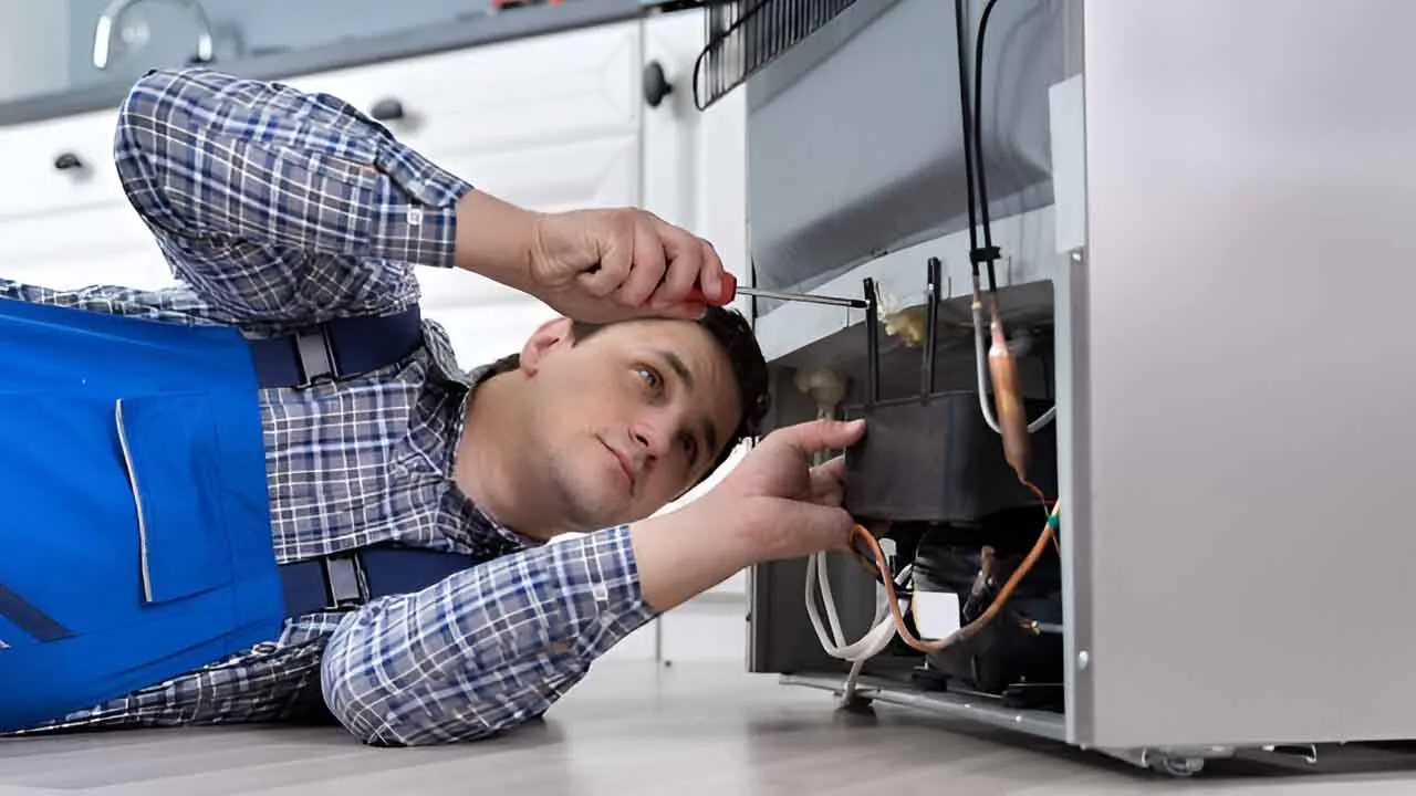 electrodomesticos-1.webp